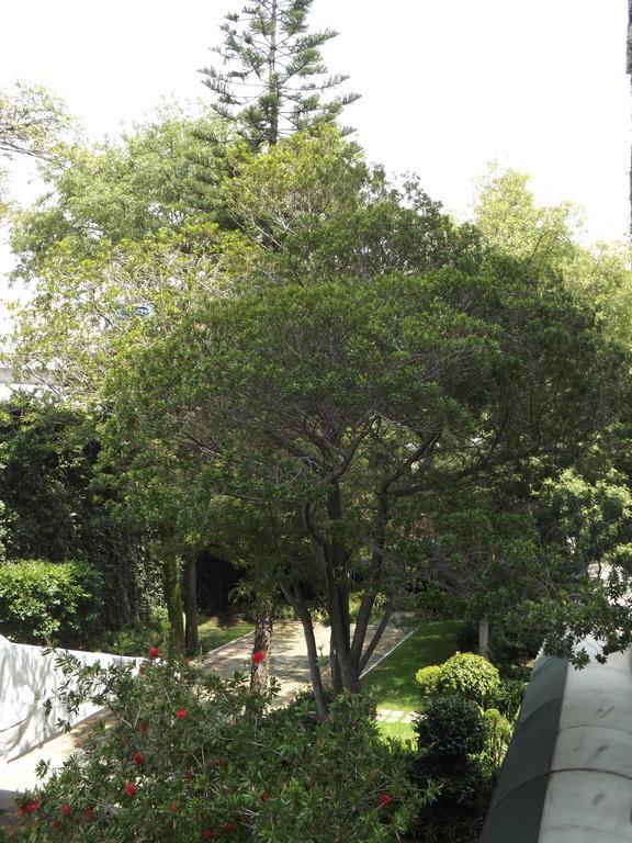 Pedregal Palace Μεξικό Εξωτερικό φωτογραφία